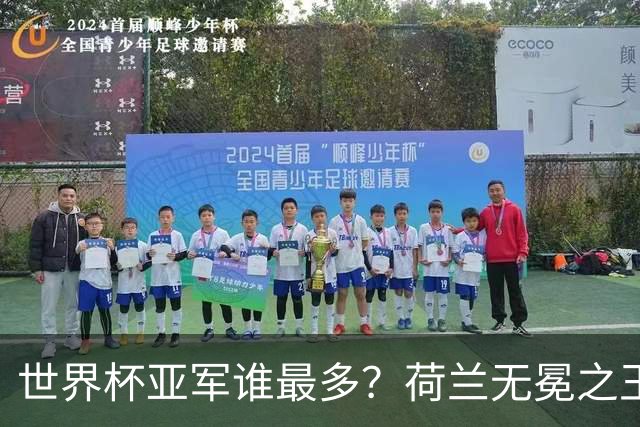 世界杯亚军谁最多？荷兰无冕之王最悲催，阿根廷四次失利，和宿敌并列最多